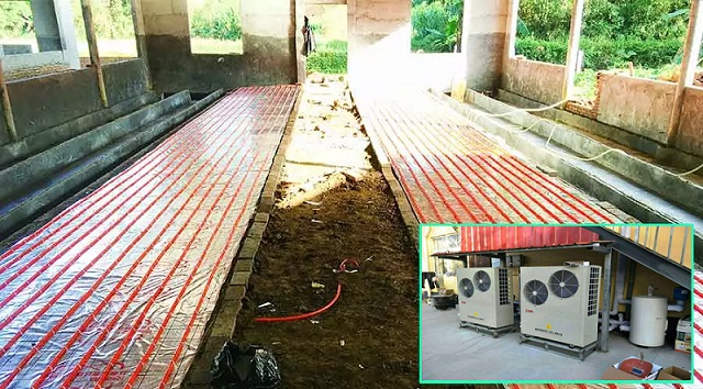 �՚�Դ����Bֳȡů